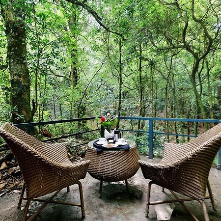 Ayar Jungle Resort Нейнитал Екстериор снимка